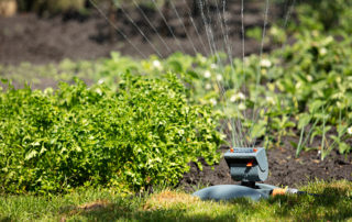 Consejos para ahorrar agua en el jardín o huerto con aspersores eficientes, fontanero valladolid