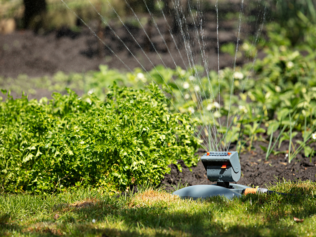 Consejos para ahorrar agua en el jardín o huerto con aspersores eficientes, fontanero valladolid