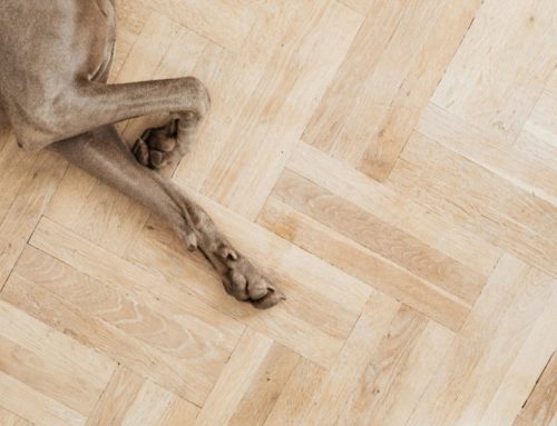 Fuga de agua, ¿qué hacer con el parquet?