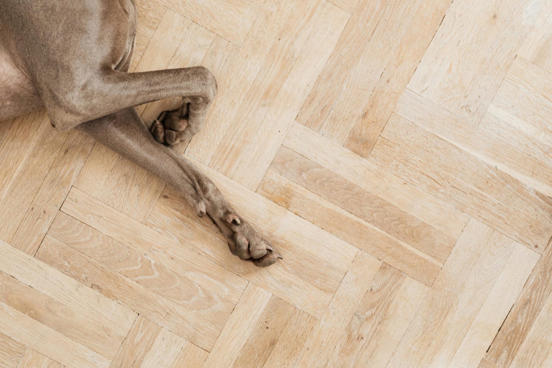 fuga de agua en parquet: qué hacer